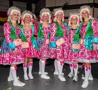 Prinsereceptie en Verkleid Prinsebal 14