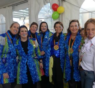 oeëpening vastelaovessezówn 29-2025